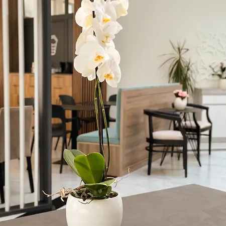 Hotel The Honeycomb Boutique 5*