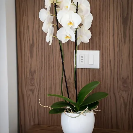 The Honeycomb Boutique 5*